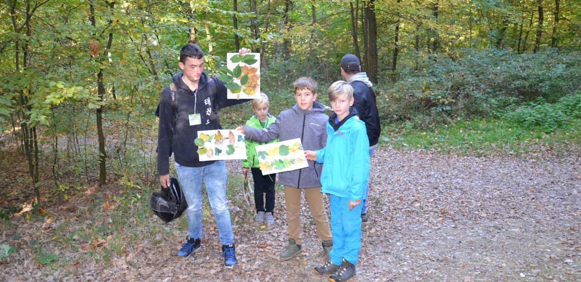Forschertag der 4. Klassen im Leechwald