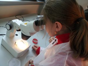 Naturwissenschaft macht Schule