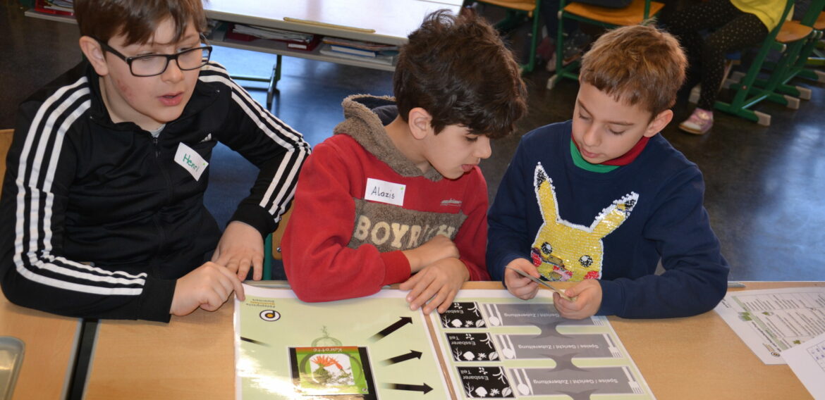 ProHolz Workshop, 2abc