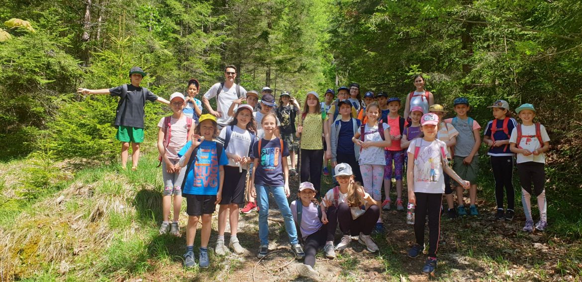 Projekttage der 4b und 4c Klasse