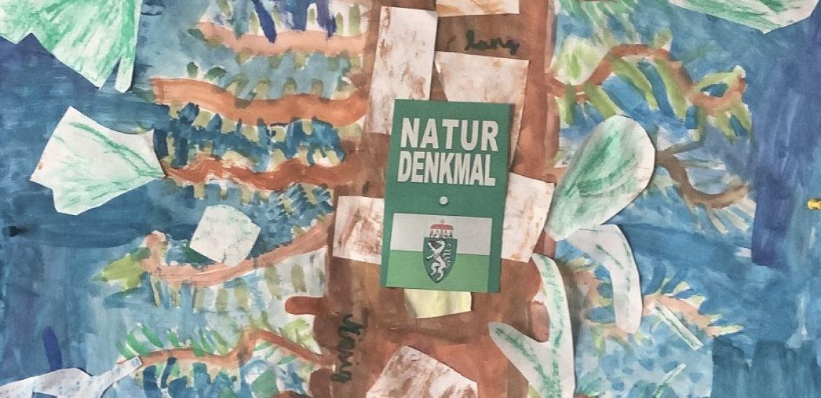 Die 2a im Grazer Urwald